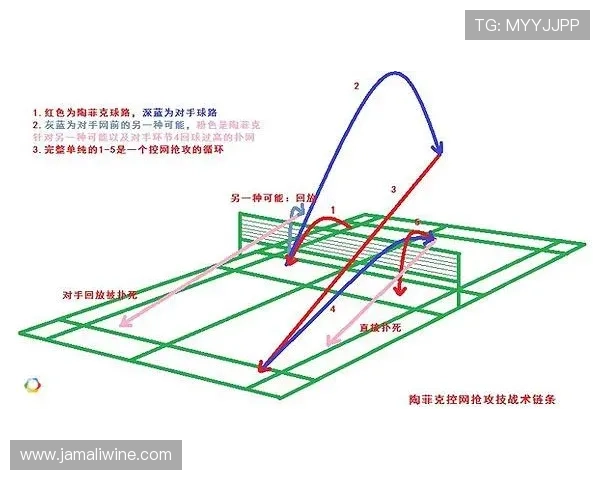 上海羽毛球队整体压制打法深度分析与战术解析