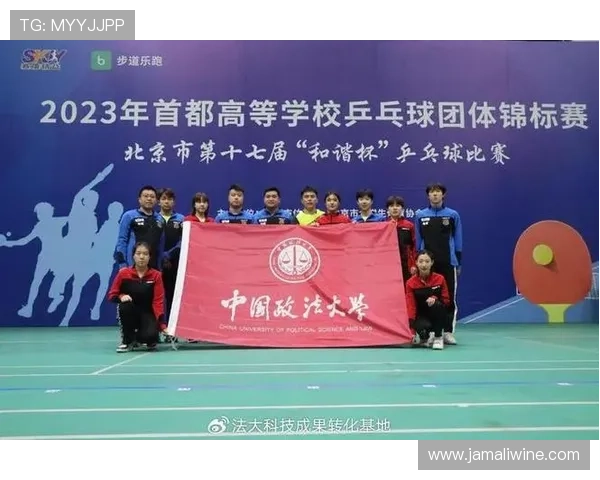 北京乒乓球队阵地战解析：从战术布局到选手表现的全面解读