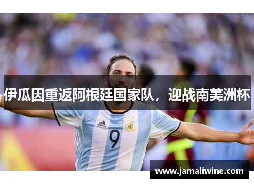 伊瓜因重返阿根廷国家队，迎战南美洲杯
