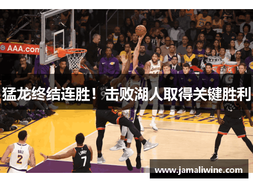 猛龙终结连胜！击败湖人取得关键胜利